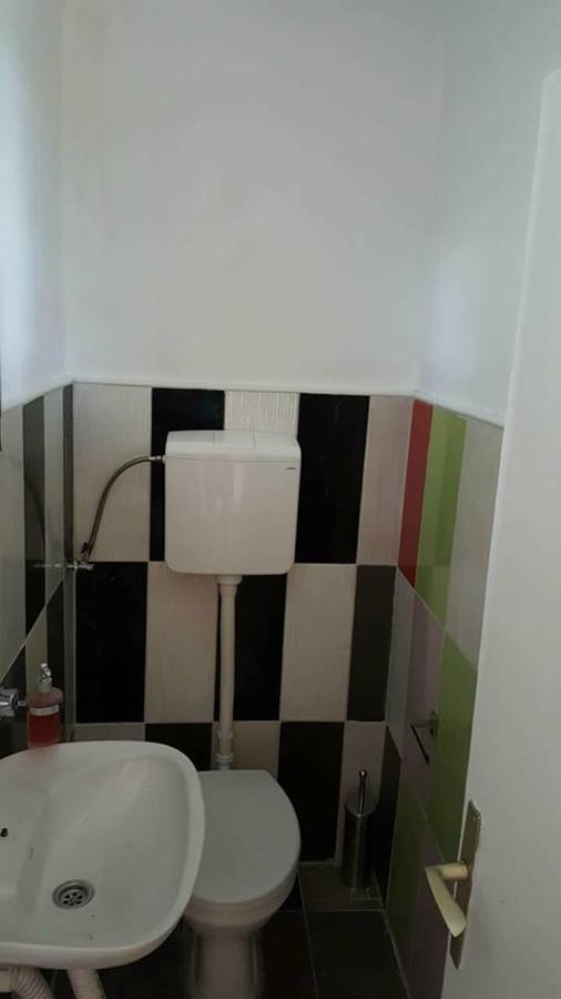Hostel Belgrade Shungit Dragana Jeftica Br 10 Esterno foto